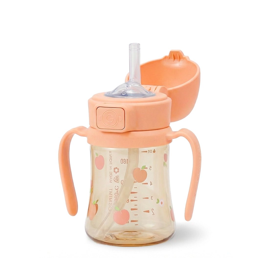 Grosmimi PPSU Straw Cup with Flip Top - 6oz (12 Months+) - Zezebaebae