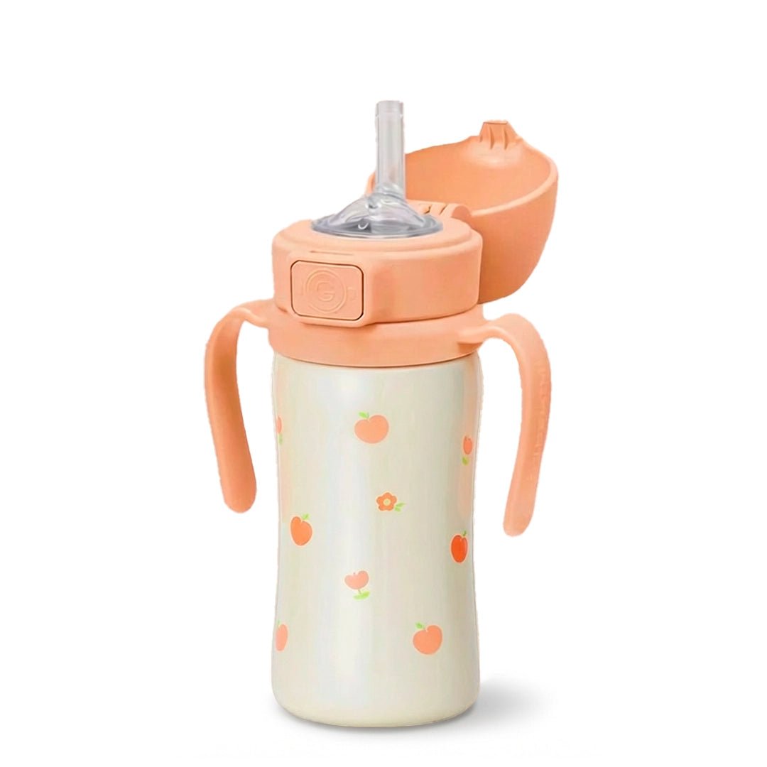 Grosmimi Stainless Steel Straw Cup with Flip Top - 10oz (12 Months+) - Zezebaebae