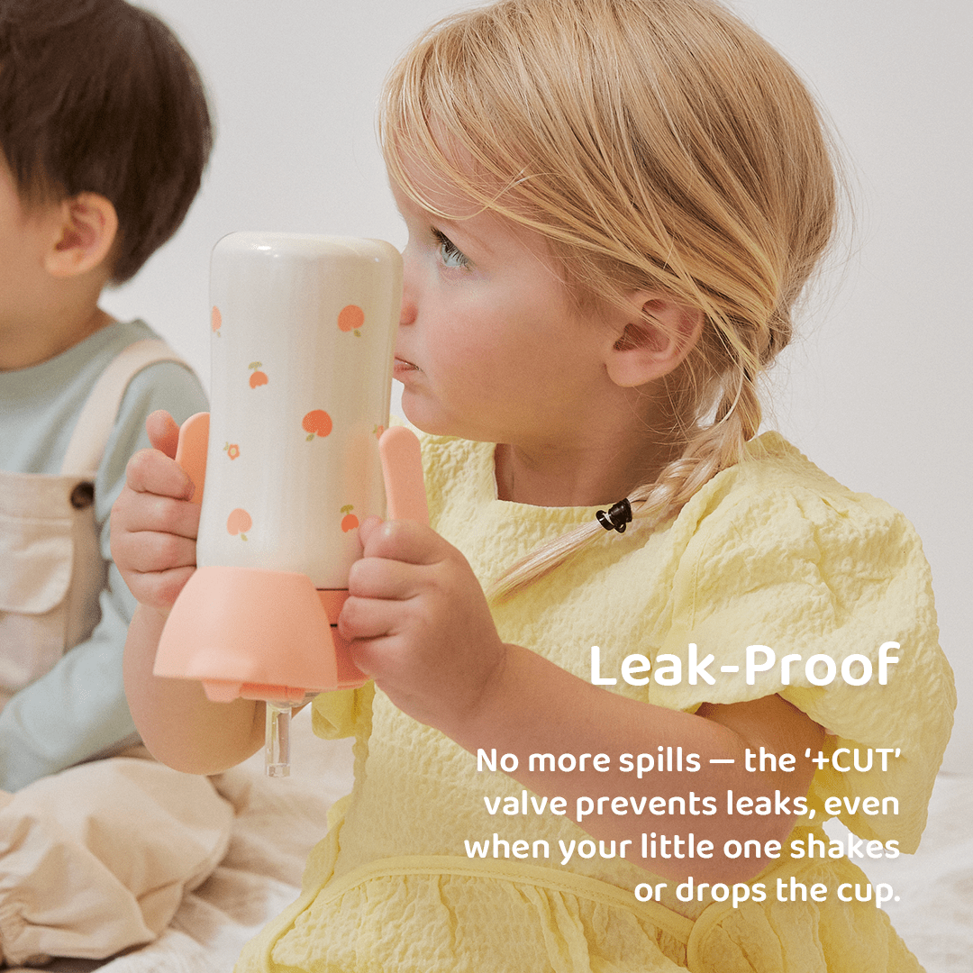 Grosmimi Stainless Steel Straw Cup with Flip Top - 10oz (300ml) - Zezebaebae